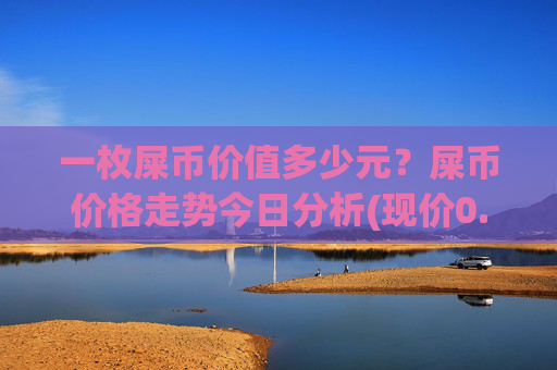 一枚屎币价值多少元?屎币价格走势今日分析(现价0.00016019元)
