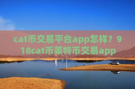cat币交易平台app怎样?918cat币莱特币交易app