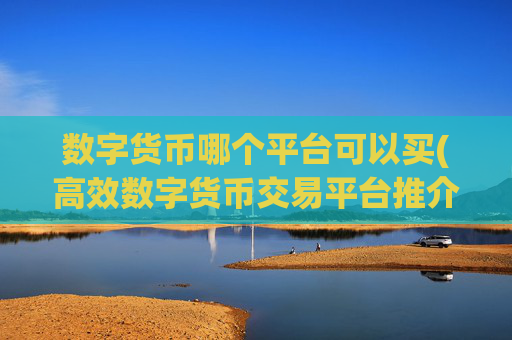 数字货币哪个平台可以买(高效数字货币交易平台推介)