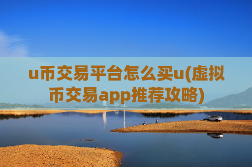 u币交易平台怎么买u(虚拟币交易app推荐攻略)