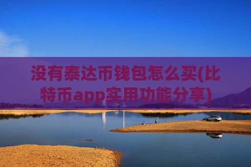没有泰达币钱包怎么买(比特币app实用功能分享)
