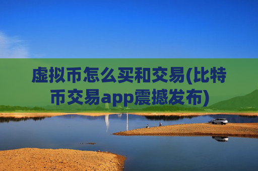 虚拟币怎么买和交易(比特币交易app震撼发布)