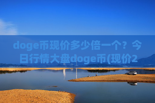 doge币现价多少倍一个?今日行情大盘doge币(现价2.3556元)