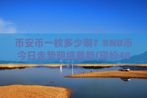 币安币一枚多少啊?BNB币今日走势明细最新(现价4863.11元)