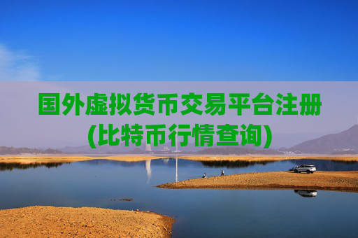 国外虚拟货币交易平台注册(比特币行情查询)