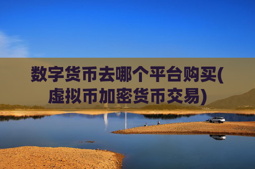 数字货币去哪个平台购买(虚拟币加密货币交易)