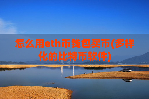 怎么用eth币钱包买币(多样化的比特币软件)