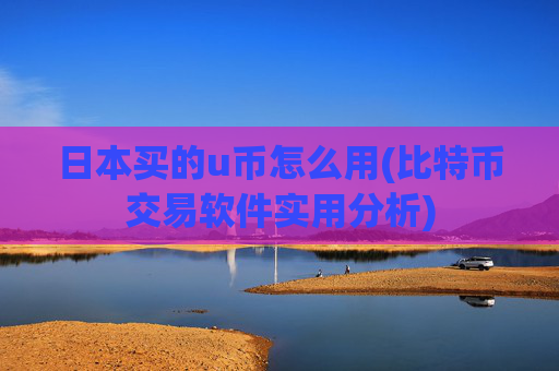 日本买的u币怎么用(比特币交易软件实用分析)