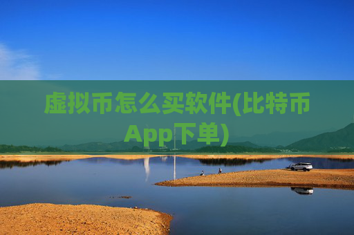 虚拟币怎么买软件(比特币App下单)