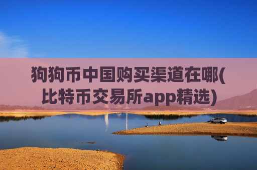 狗狗币中国购买渠道在哪(比特币交易所app精选)