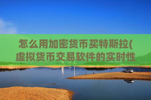 怎么用加密货币买特斯拉(虚拟货币交易软件的实时性)