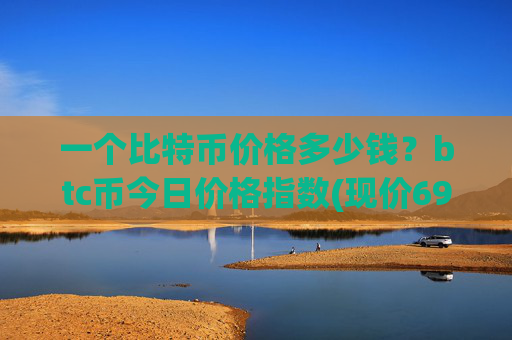 一个比特币价格多少钱？btc币今日价格指数(现价698941.95元)