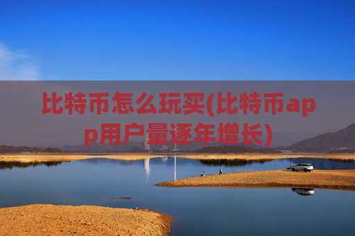 比特币怎么玩买(比特币app用户量逐年增长)