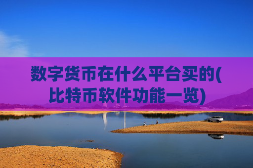 数字货币在什么平台买的(比特币软件功能一览)