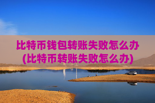 比特币钱包转账失败怎么办(比特币转账失败怎么办)