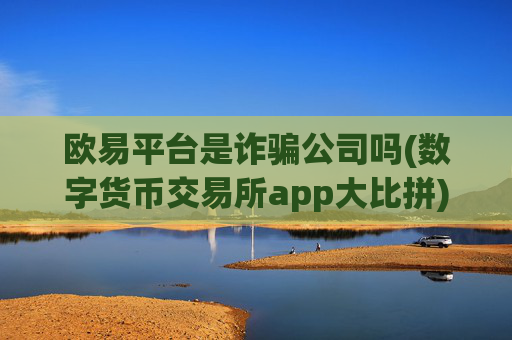 欧易平台是诈骗公司吗(数字货币交易所app大比拼)