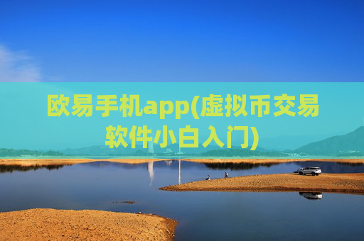 欧易手机app(虚拟币交易软件小白入门)