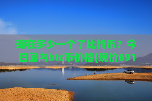 现在多少一个了比特币?今日国内btc币价格(现价691344.22元)