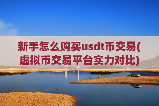新手怎么购买usdt币交易(虚拟币交易平台实力对比)
