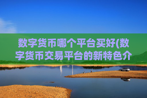 数字货币哪个平台买好(数字货币交易平台的新特色介绍)