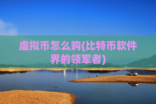 虚拟币怎么购(比特币软件界的领军者)