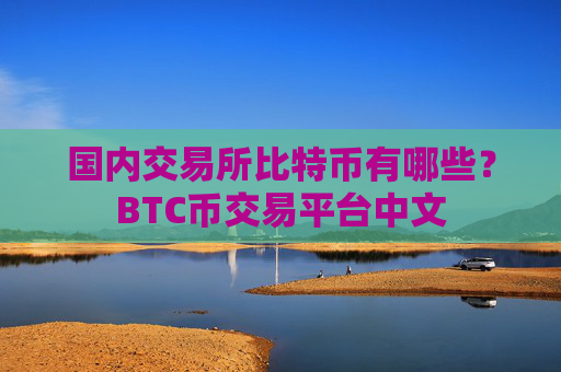 国内交易所比特币有哪些?BTC币交易平台中文