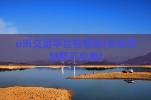 u币交易平台在哪查(安全的加密币交易)