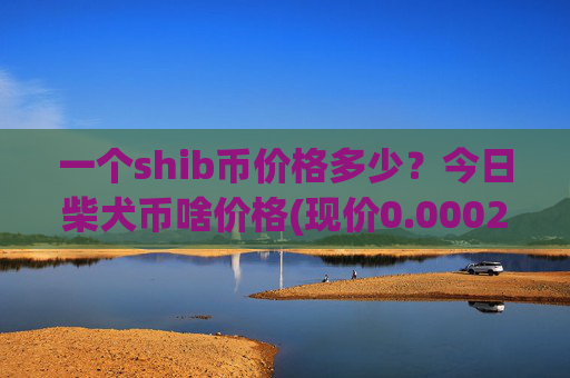 一个shib币价格多少?今日柴犬币啥价格(现价0.00021309元)