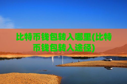 比特币钱包转入哪里(比特币钱包转入途径)