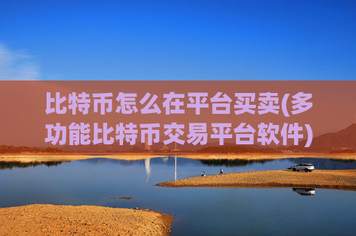 比特币怎么在平台买卖(多功能比特币交易平台软件)