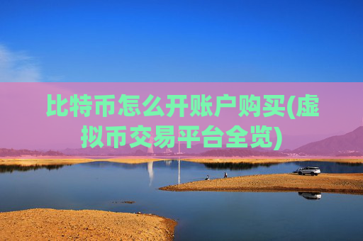 比特币怎么开账户购买(虚拟币交易平台全览)