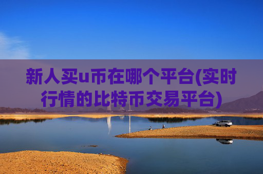 新人买u币在哪个平台(实时行情的比特币交易平台)