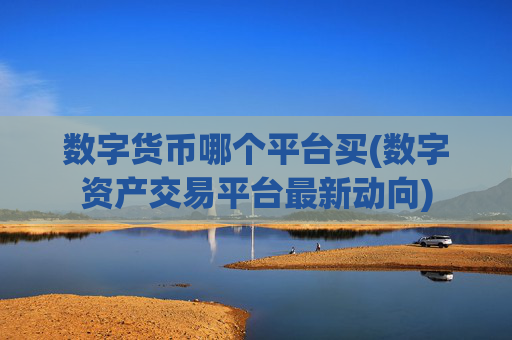 数字货币哪个平台买(数字资产交易平台最新动向)