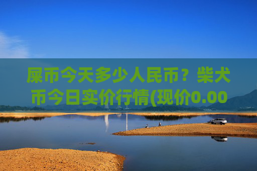 屎币今天多少人民币?柴犬币今日实价行情(现价0.00021634元)