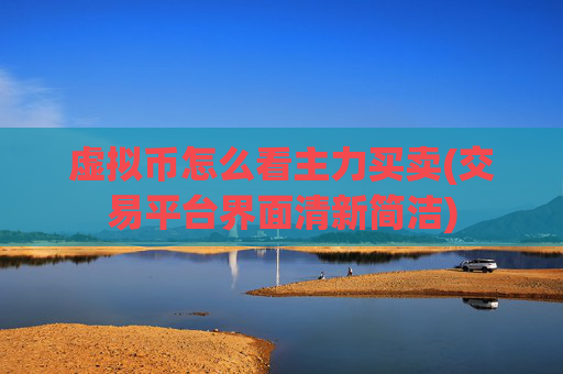 虚拟币怎么看主力买卖(交易平台界面清新简洁)