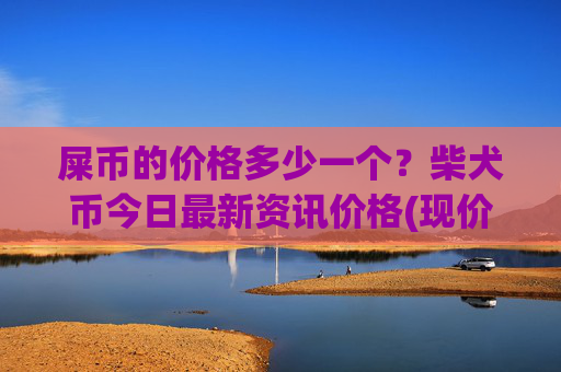 屎币的价格多少一个?柴犬币今日最新资讯价格(现价0.00021382元)