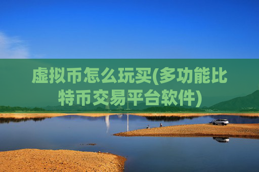 虚拟币怎么玩买(多功能比特币交易平台软件)