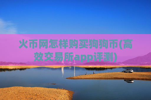 火币网怎样购买狗狗币(高效交易所app评测)
