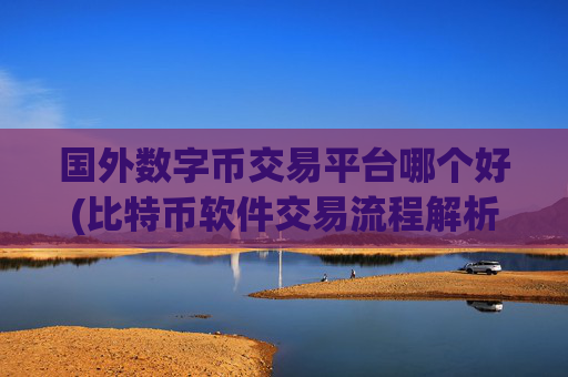 国外数字币交易平台哪个好(比特币软件交易流程解析)