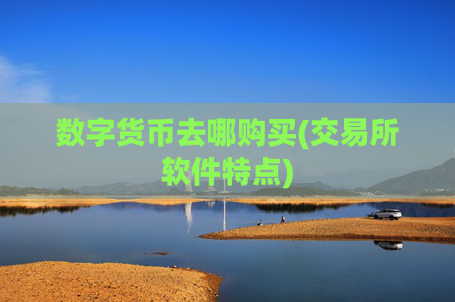 数字货币去哪购买(交易所软件特点)