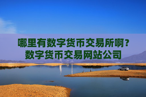 哪里有数字货币交易所啊?数字货币交易网站公司