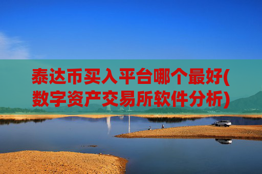 泰达币买入平台哪个最好(数字资产交易所软件分析)