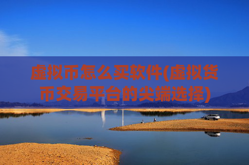 虚拟币怎么买软件(虚拟货币交易平台的尖端选择)