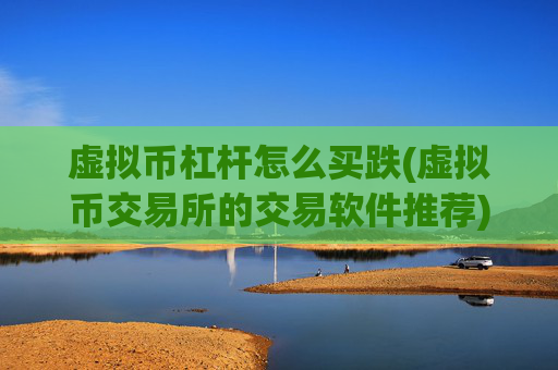 虚拟币杠杆怎么买跌(虚拟币交易所的交易软件推荐)