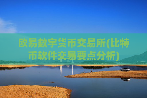 欧易数字货币交易所(比特币软件交易要点分析)
