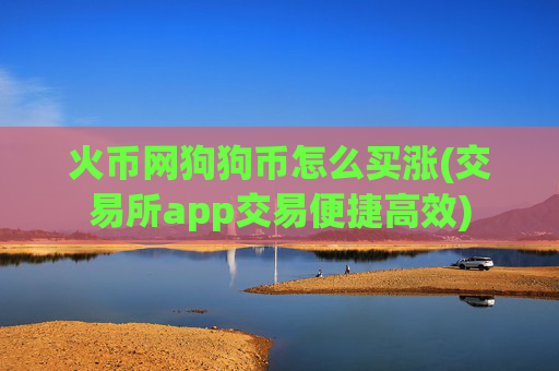 火币网狗狗币怎么买涨(交易所app交易便捷高效)
