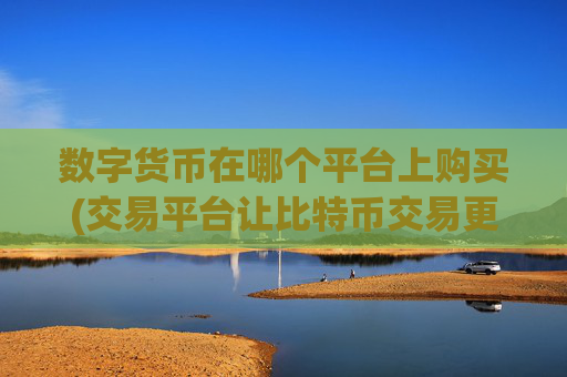 数字货币在哪个平台上购买(交易平台让比特币交易更畅快无阻)