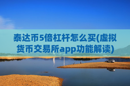 泰达币5倍杠杆怎么买(虚拟货币交易所app功能解读)