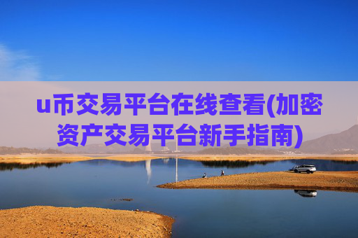 u币交易平台在线查看(加密资产交易平台新手指南)