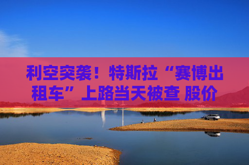 利空突袭!特斯拉“赛博出租车”上路当天被查 股价见光死